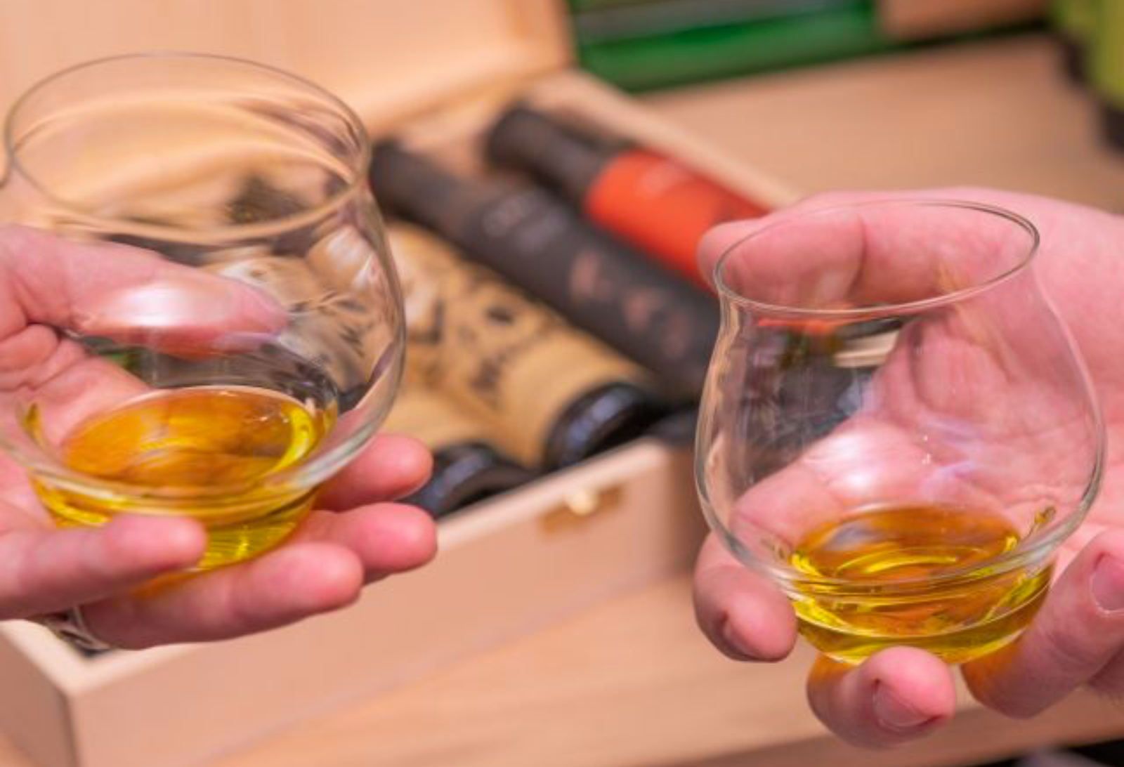 Istria, olive oil tasting, photo credit by Croatian Attractions partner