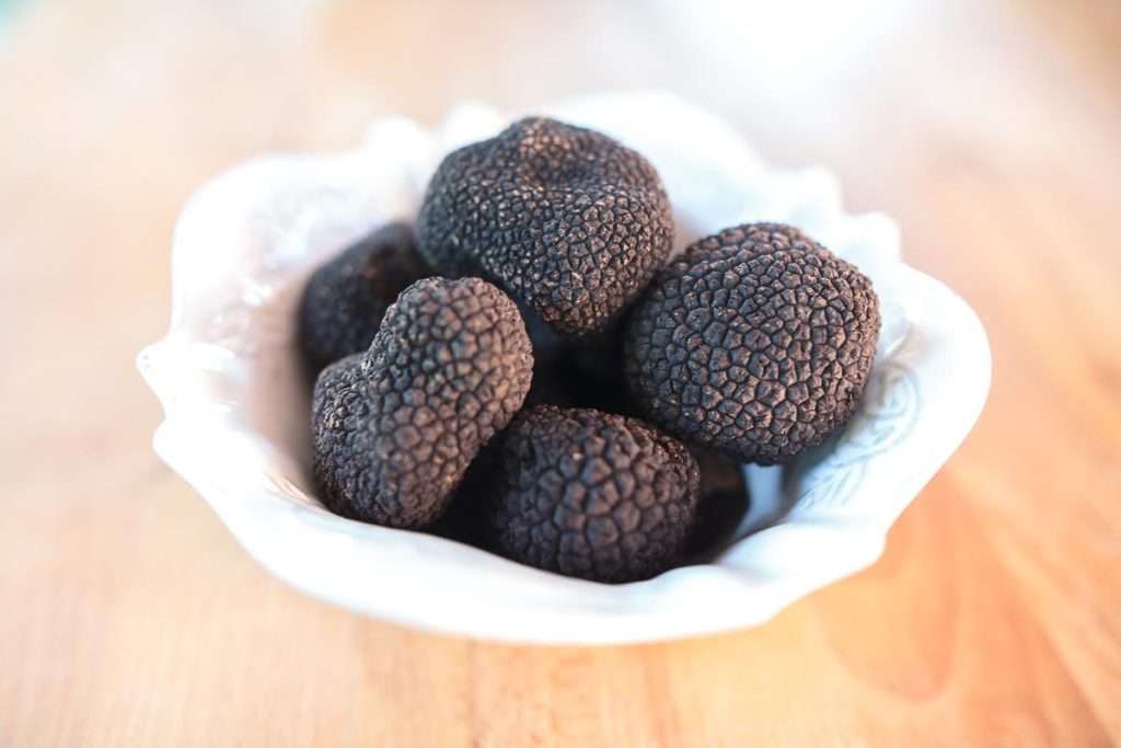 Croatia Wine and Food Tours, Cooking class Istria - truffles, Photo by Croatian Attractions Partner