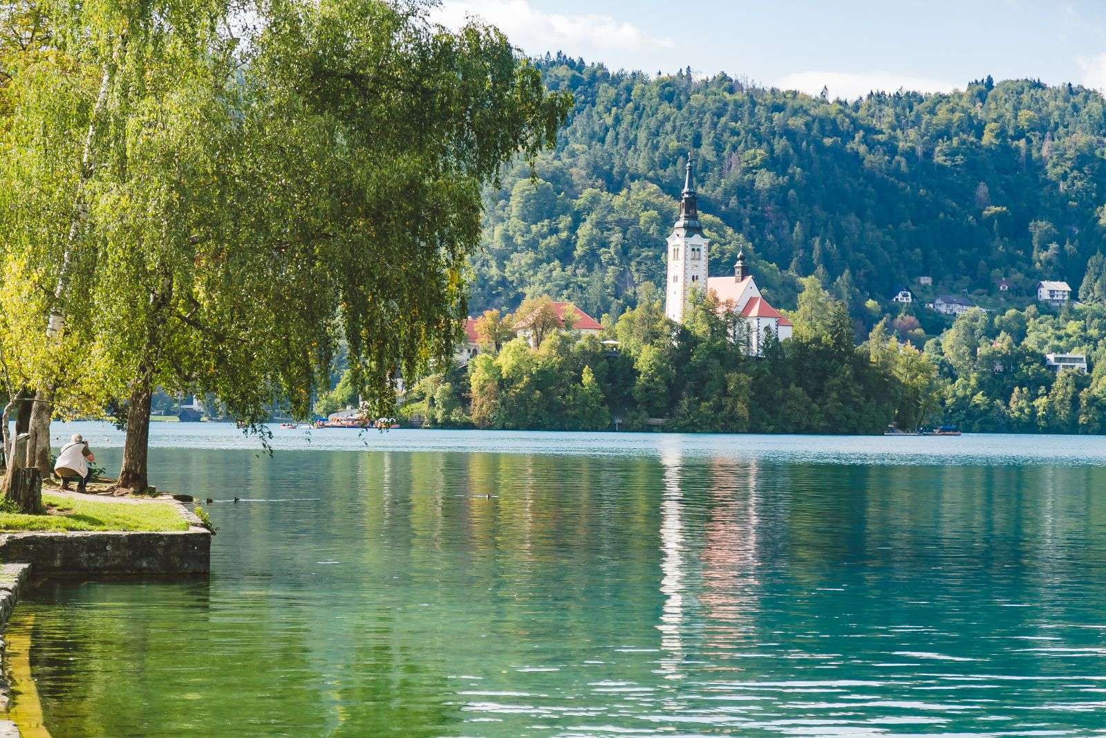 bled 3